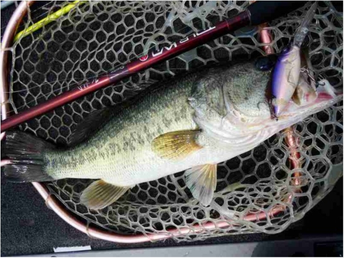 truth  ブログ写真 2018/06/16