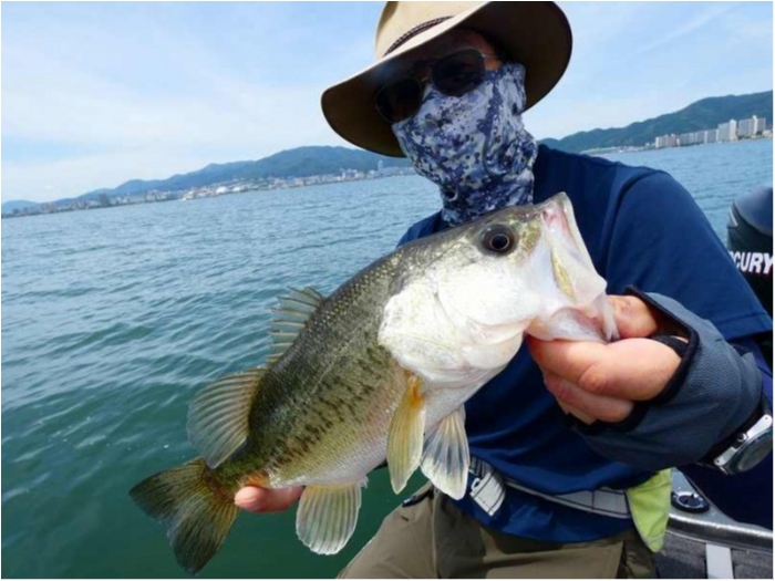 truth  ブログ写真 2018/06/16