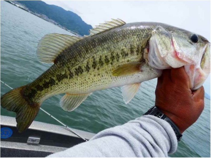 truth  ブログ写真 2018/06/16