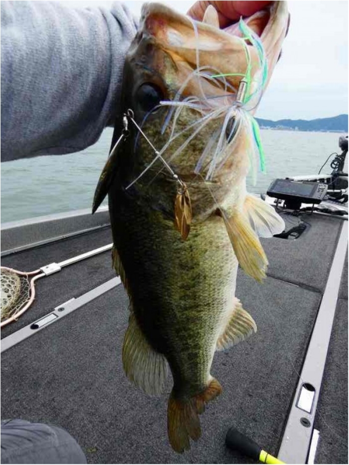 truth  ブログ写真 2018/06/16