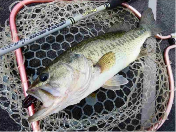 truth  ブログ写真 2018/06/16