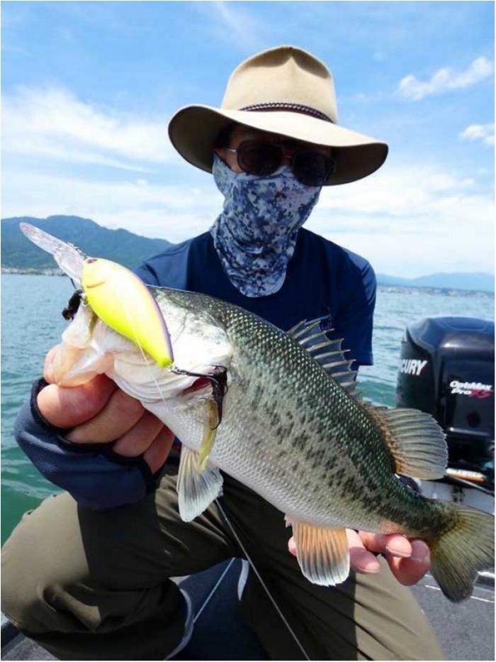 truth  ブログ写真 2018/06/16