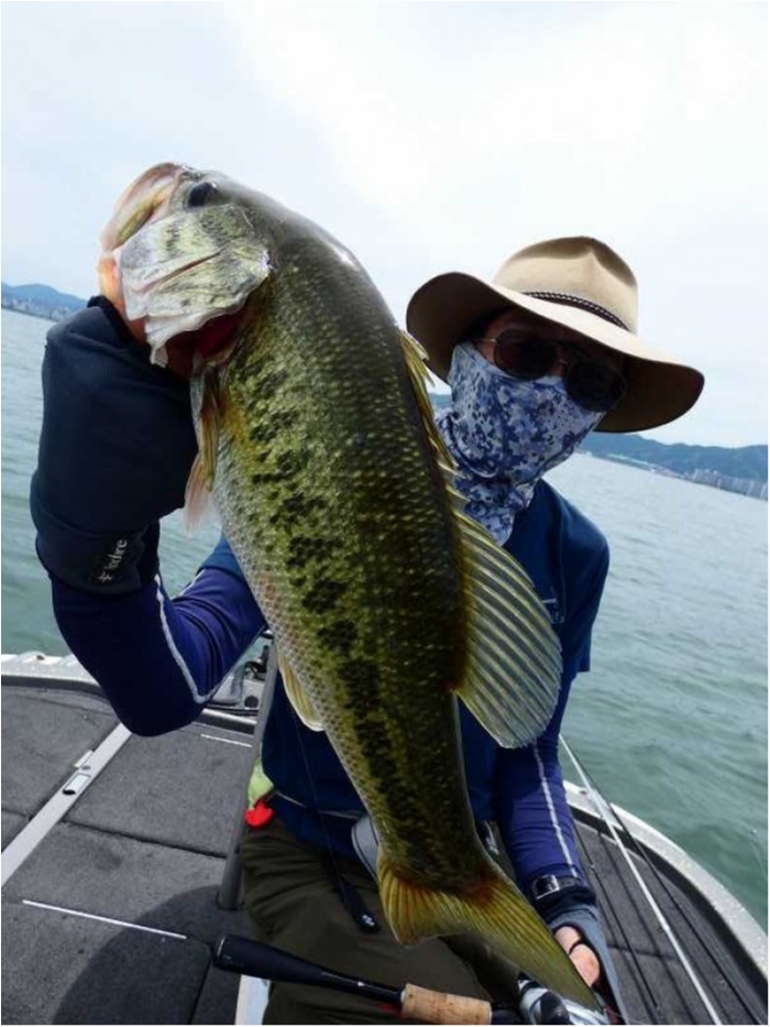 truth  ブログ写真 2018/06/16