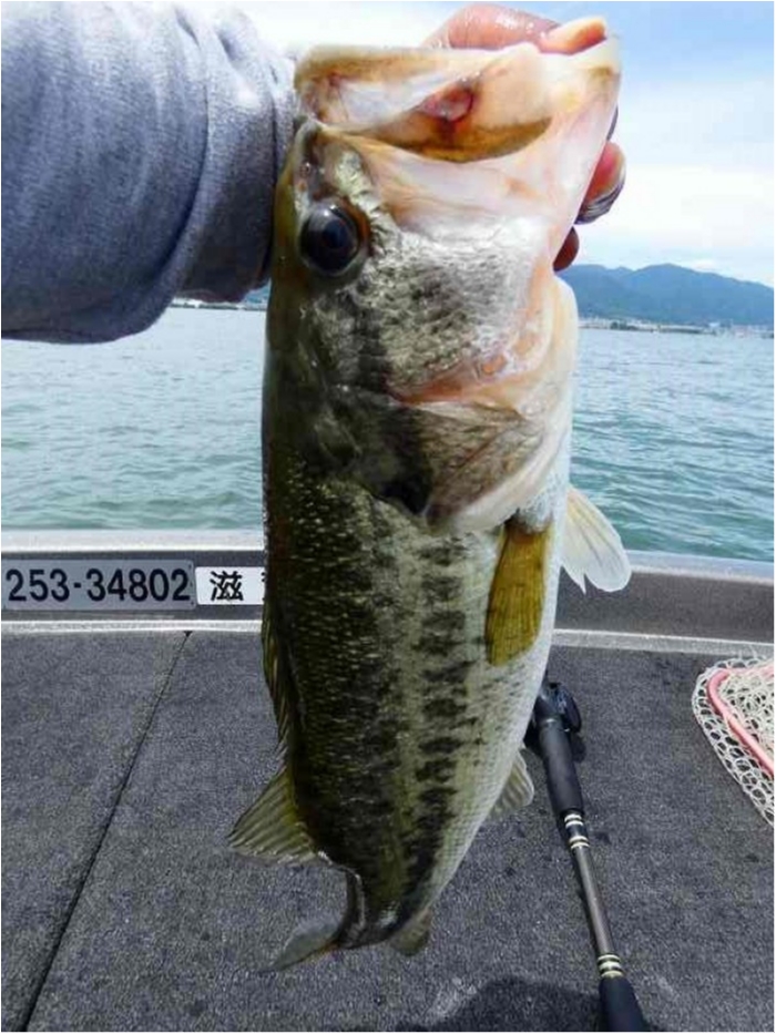 truth  ブログ写真 2018/06/16