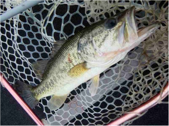 truth  ブログ写真 2018/06/16