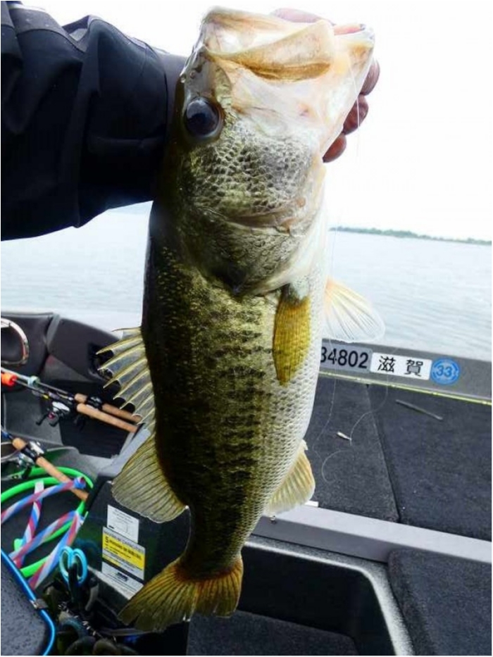 truth  ブログ写真 2018/06/16