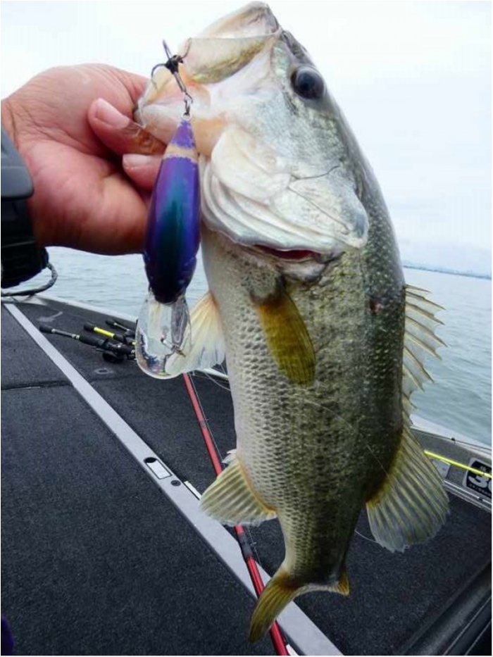 truth  ブログ写真 2018/06/16