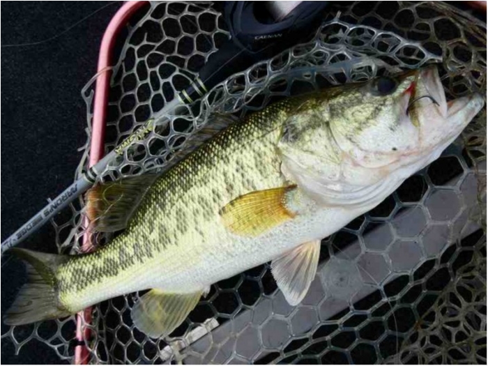 truth  ブログ写真 2018/06/16