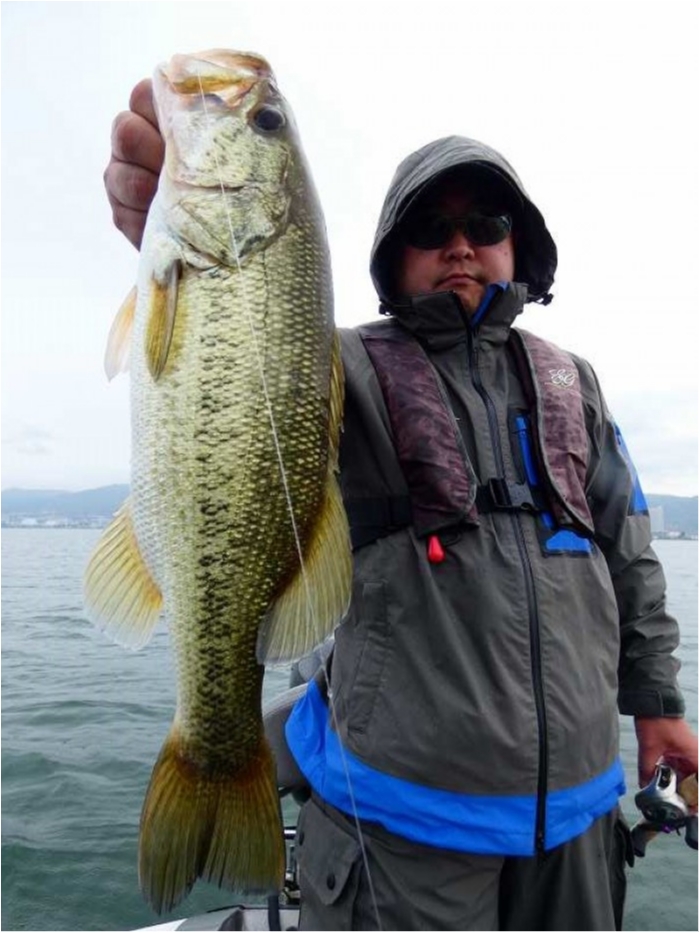 truth  ブログ写真 2018/06/16