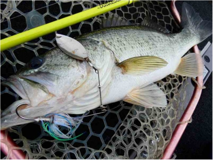 truth  ブログ写真 2018/06/16