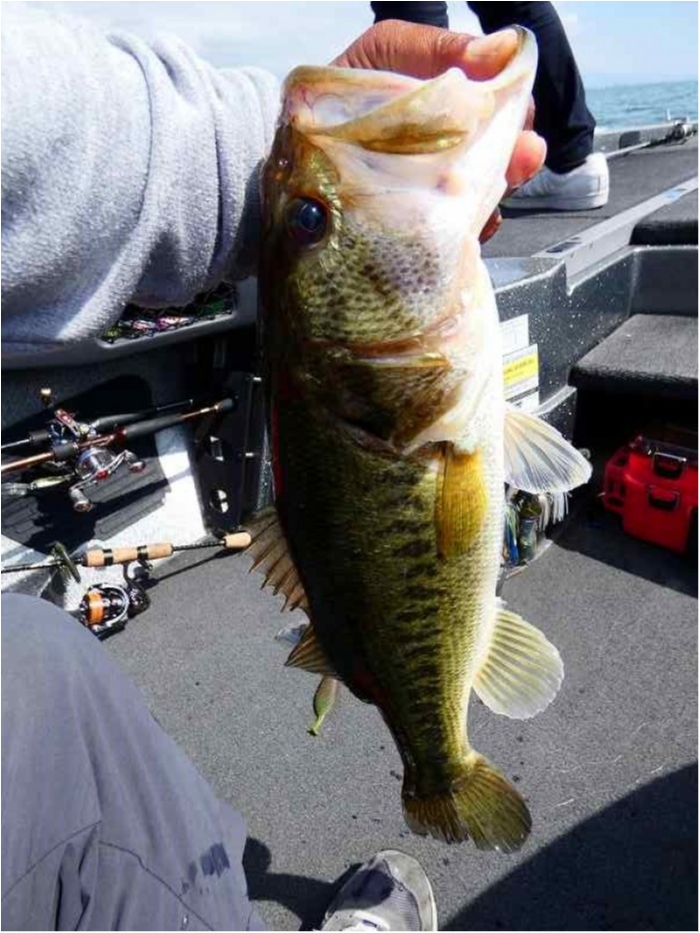 truth  ブログ写真 2018/06/17