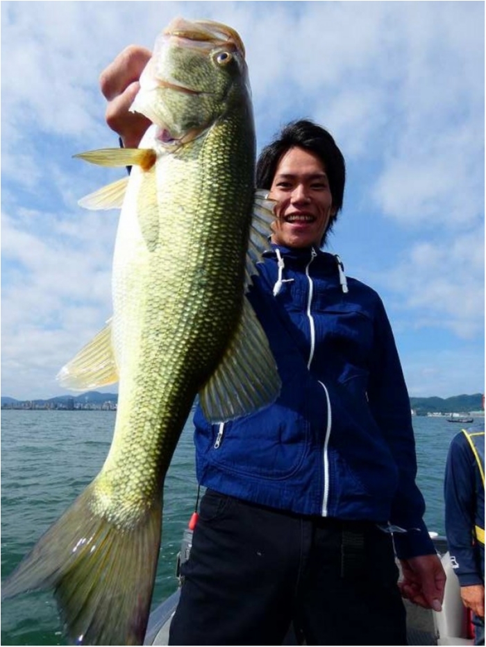 truth  ブログ写真 2018/06/17