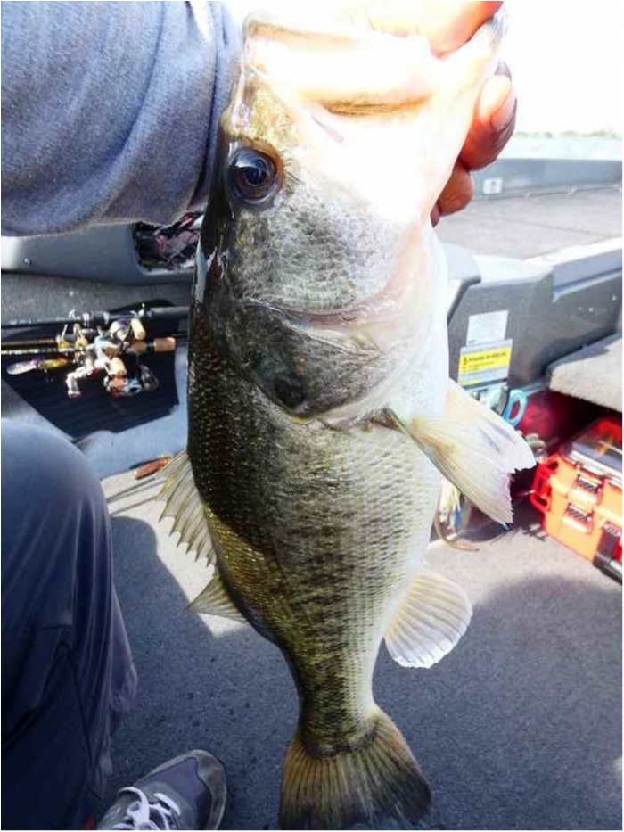 truth  ブログ写真 2018/06/17