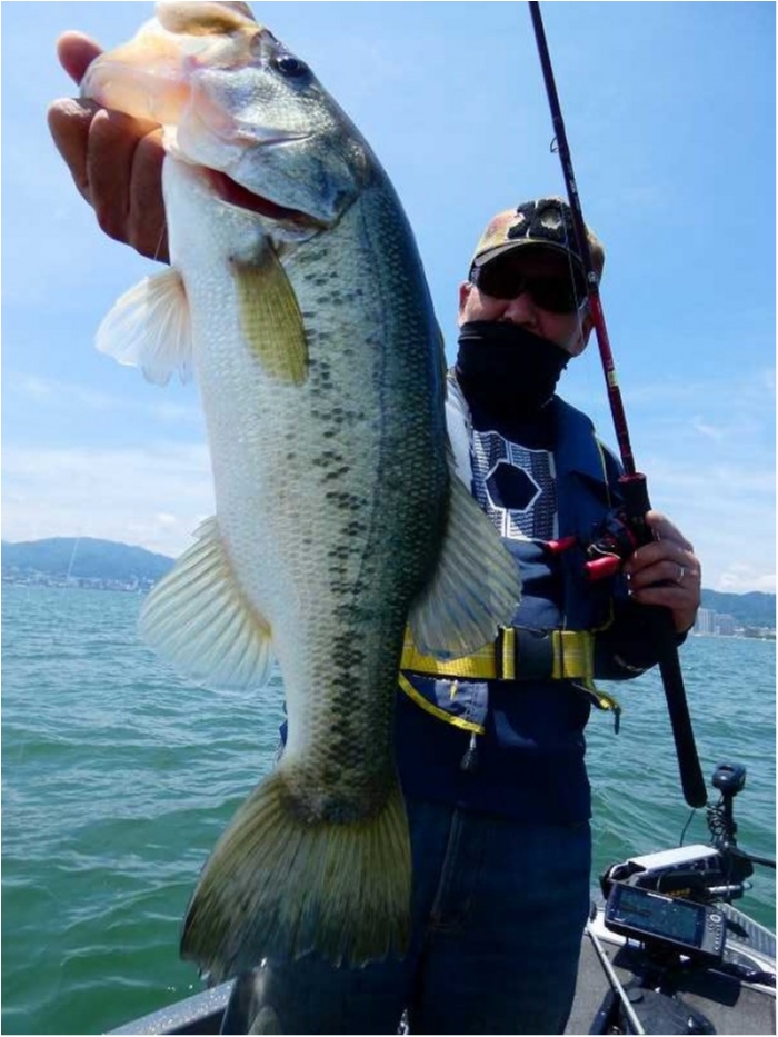 truth  ブログ写真 2018/06/17