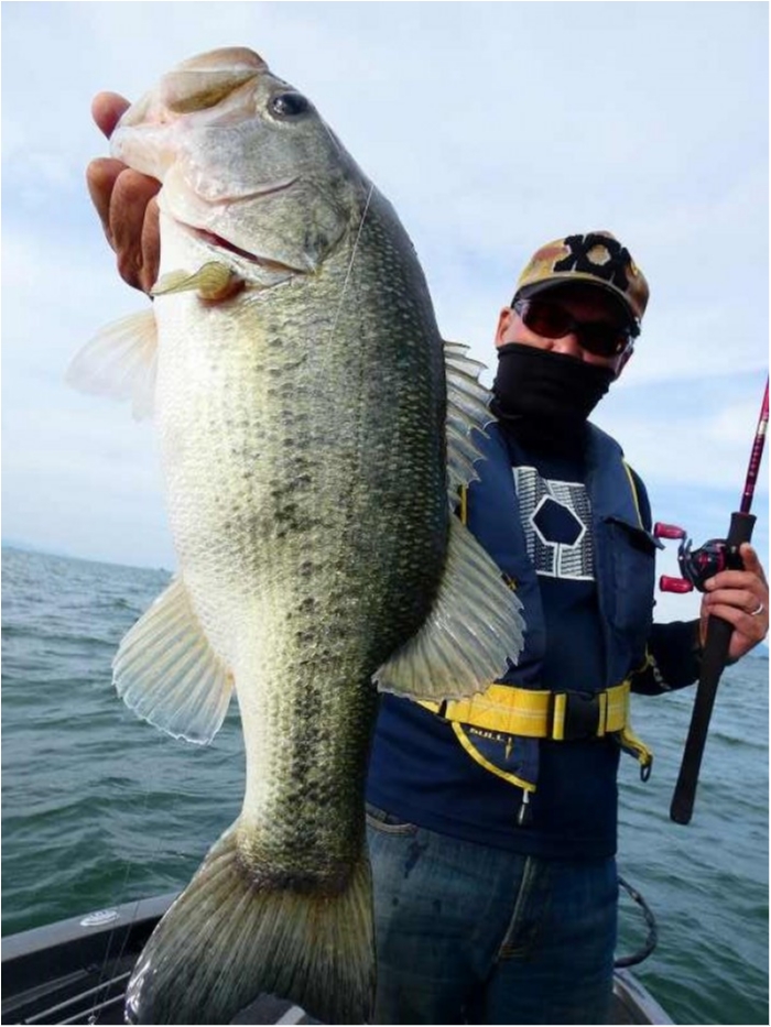 truth  ブログ写真 2018/06/17