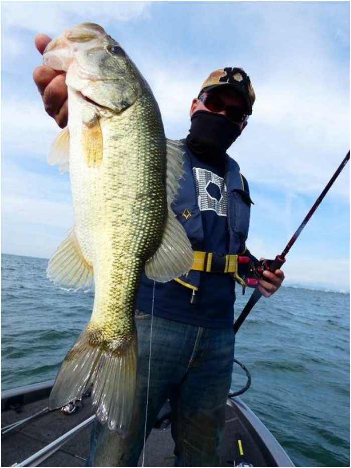 truth  ブログ写真 2018/06/17