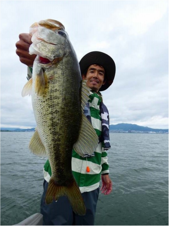 truth  ブログ写真 2018/06/18