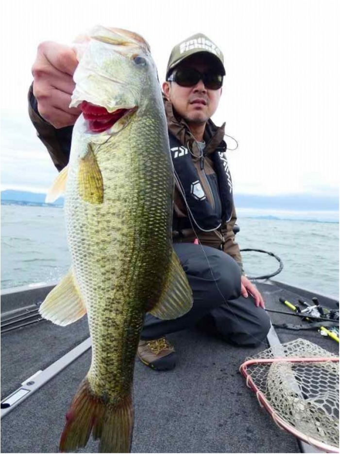 truth  ブログ写真 2018/06/18