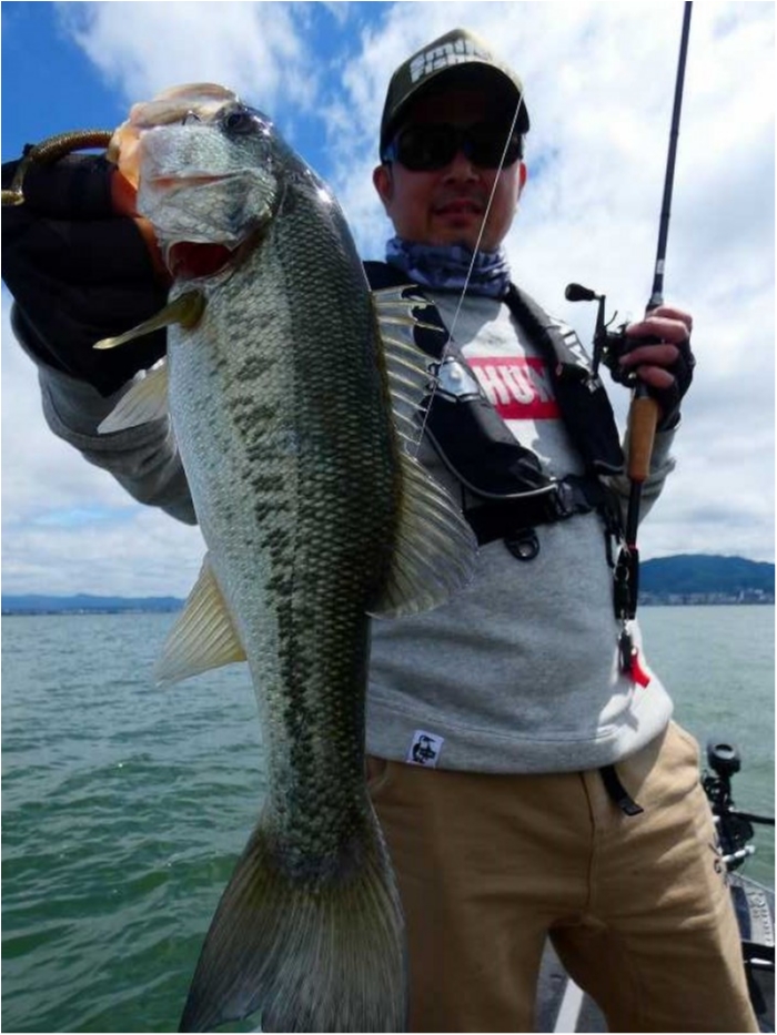 truth  ブログ写真 2018/06/18