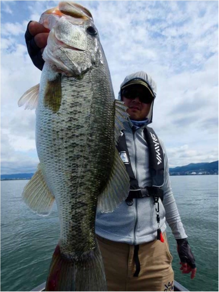 truth  ブログ写真 2018/06/18