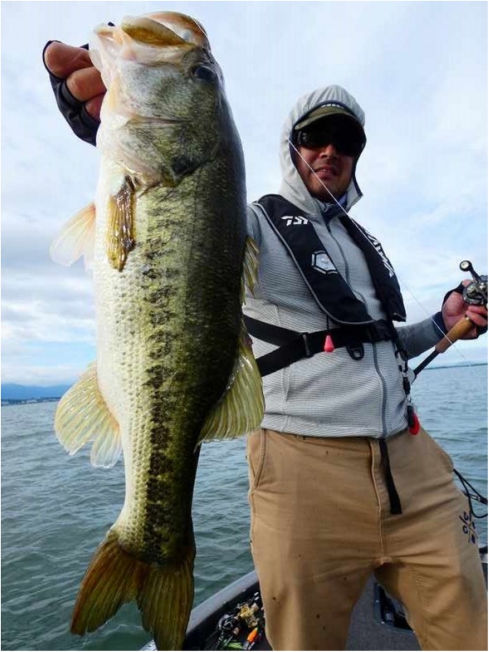 truth  ブログ写真 2018/06/18