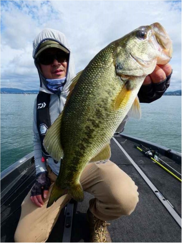 truth  ブログ写真 2018/06/18