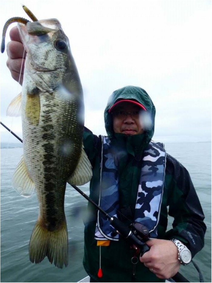 truth  ブログ写真 2018/06/20