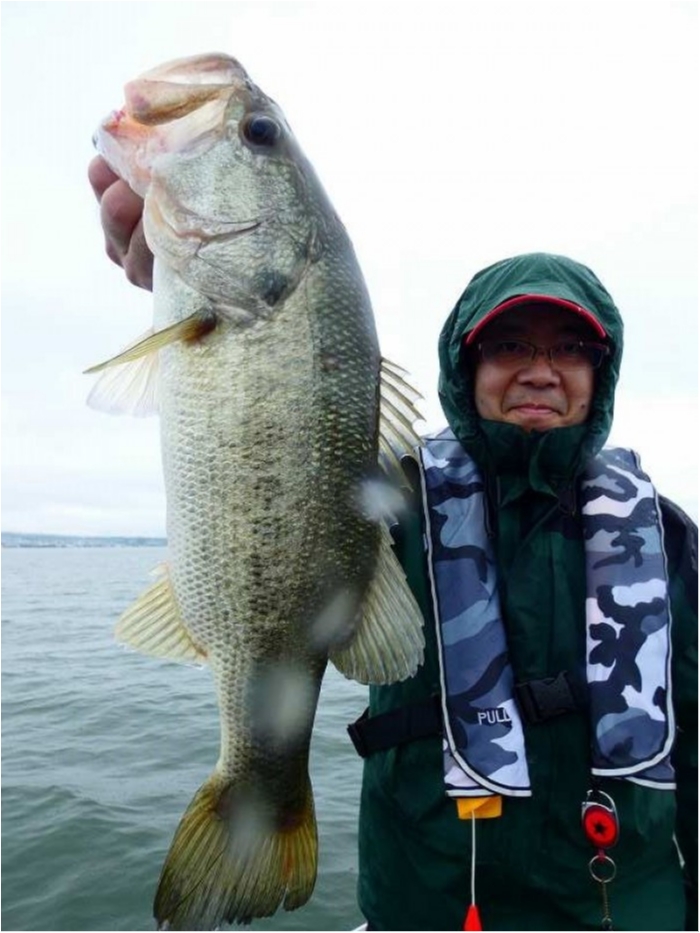 truth  ブログ写真 2018/06/20