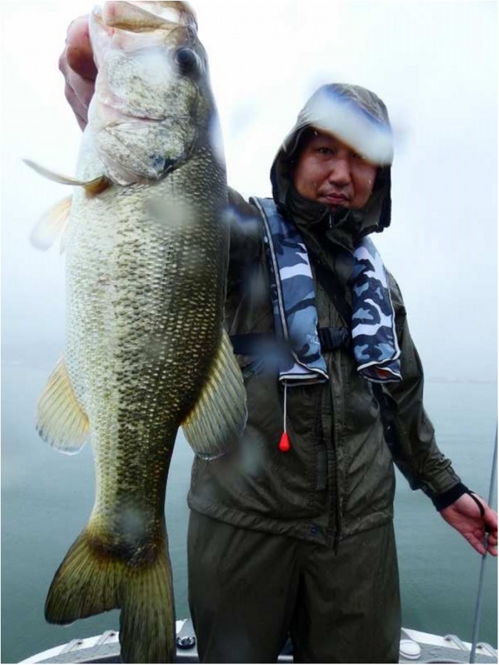 truth  ブログ写真 2018/06/20