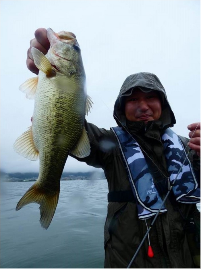 truth  ブログ写真 2018/06/20