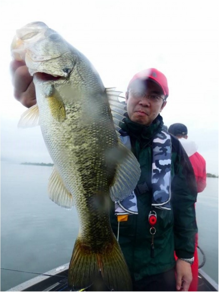 truth  ブログ写真 2018/06/20