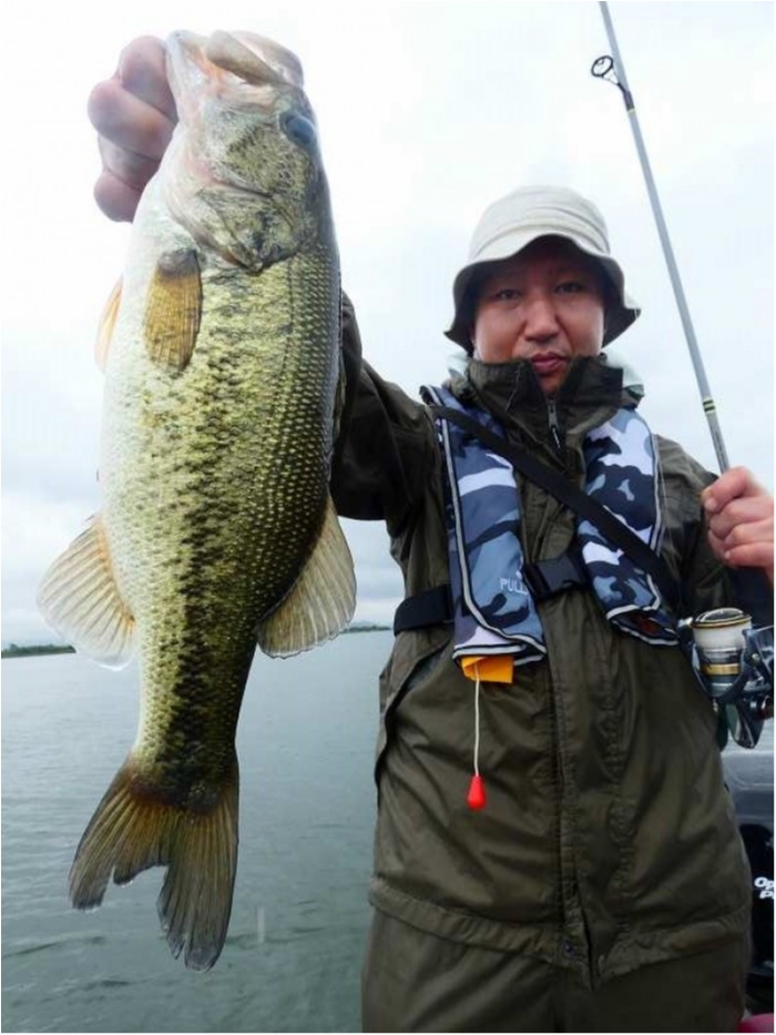 truth  ブログ写真 2018/06/20