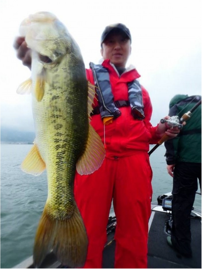 truth  ブログ写真 2018/06/20