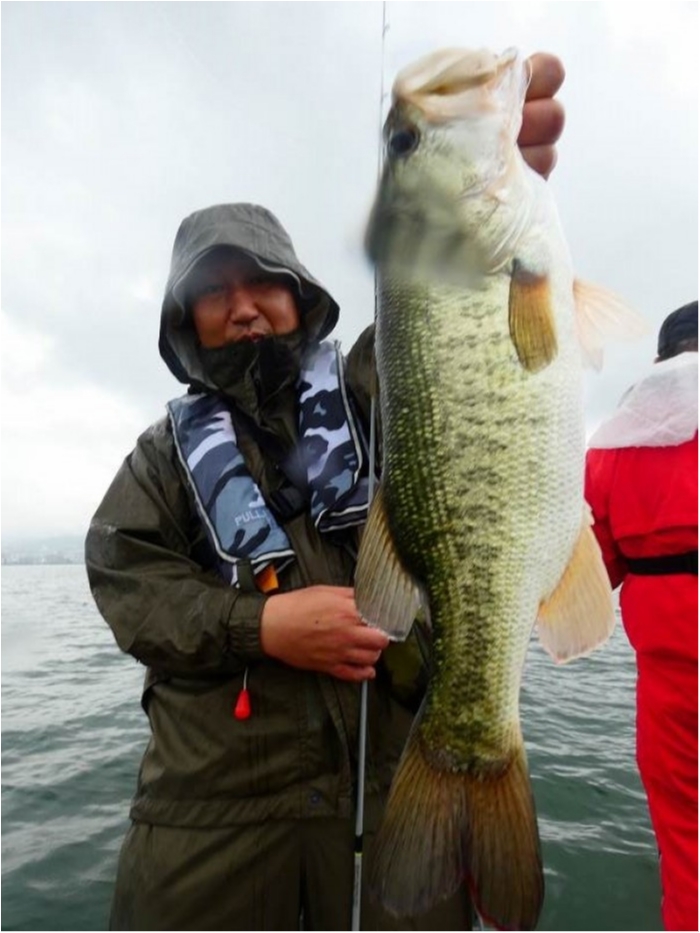 truth  ブログ写真 2018/06/20