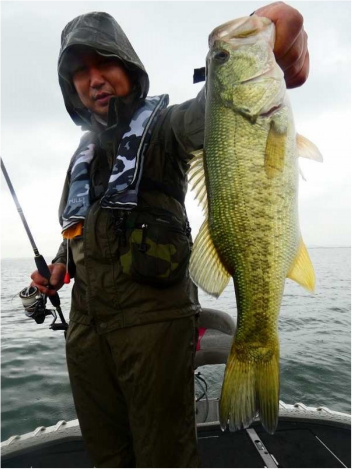 truth  ブログ写真 2018/06/20