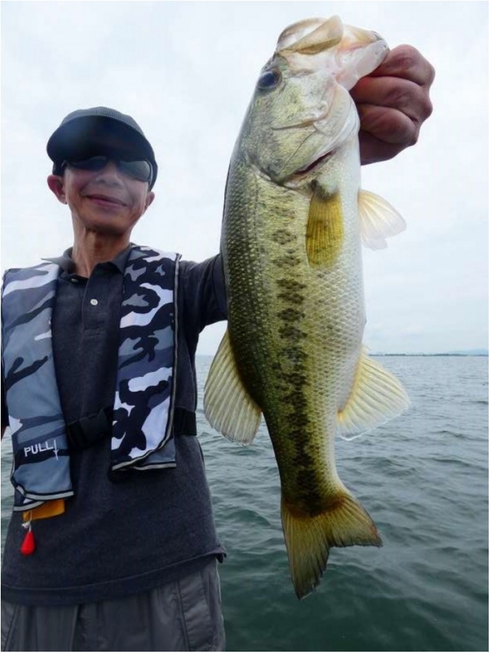 truth  ブログ写真 2018/06/21