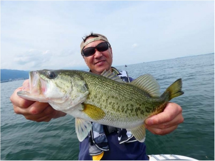 truth  ブログ写真 2018/06/21