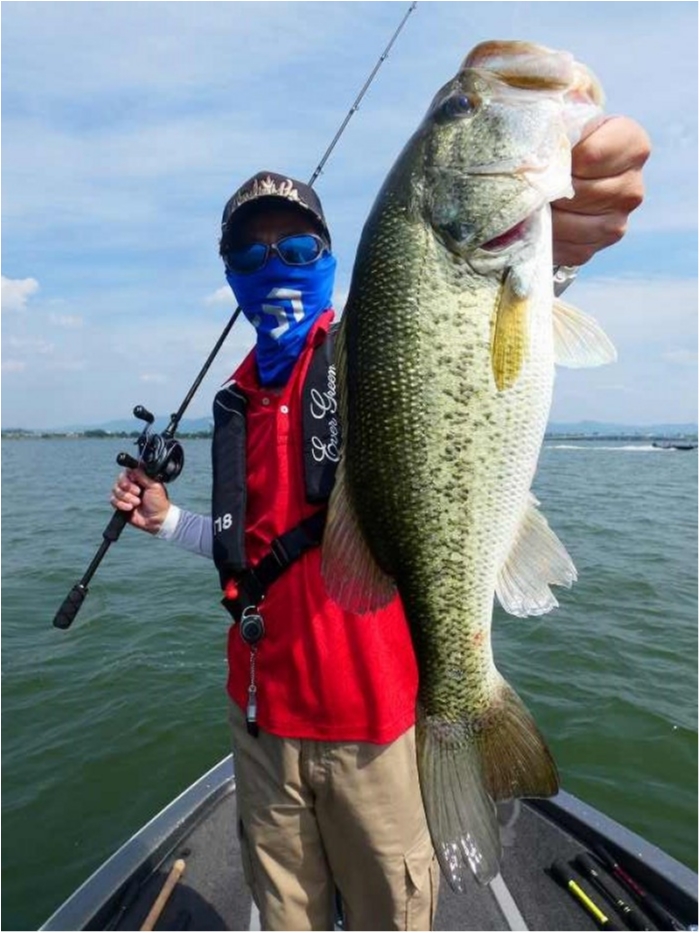 truth  ブログ写真 2018/06/22