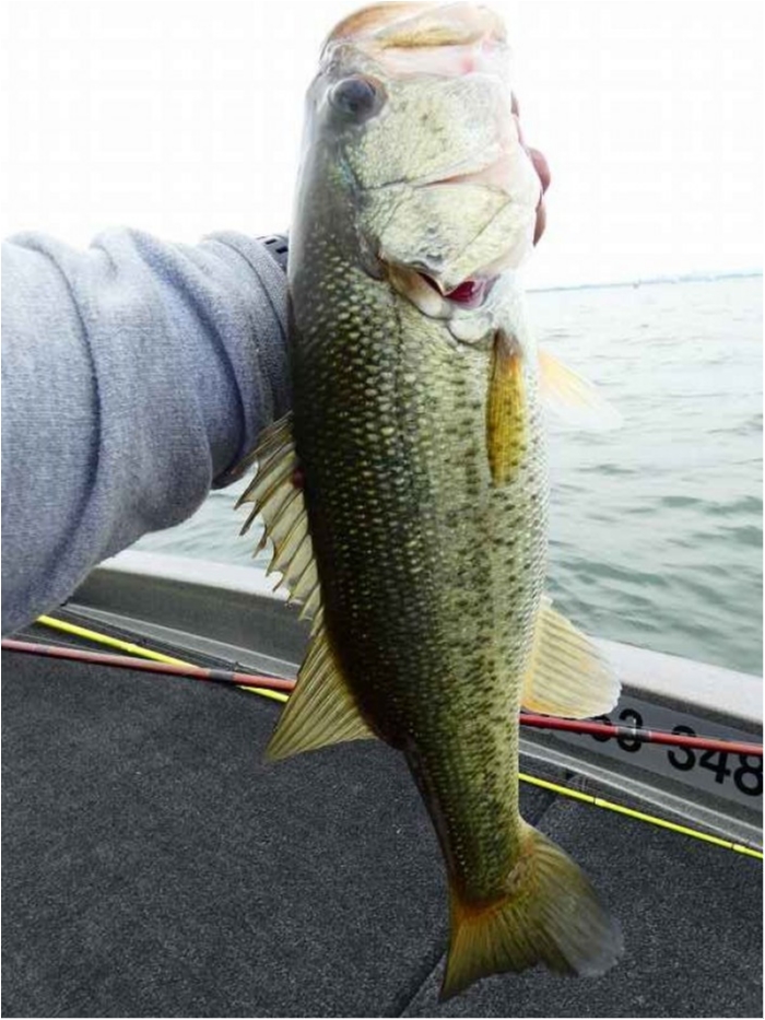 truth  ブログ写真 2018/06/23