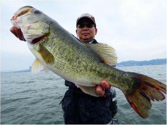 truth  ブログ写真 2018/06/23