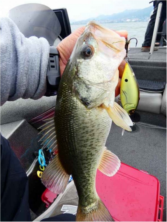 truth  ブログ写真 2018/06/23