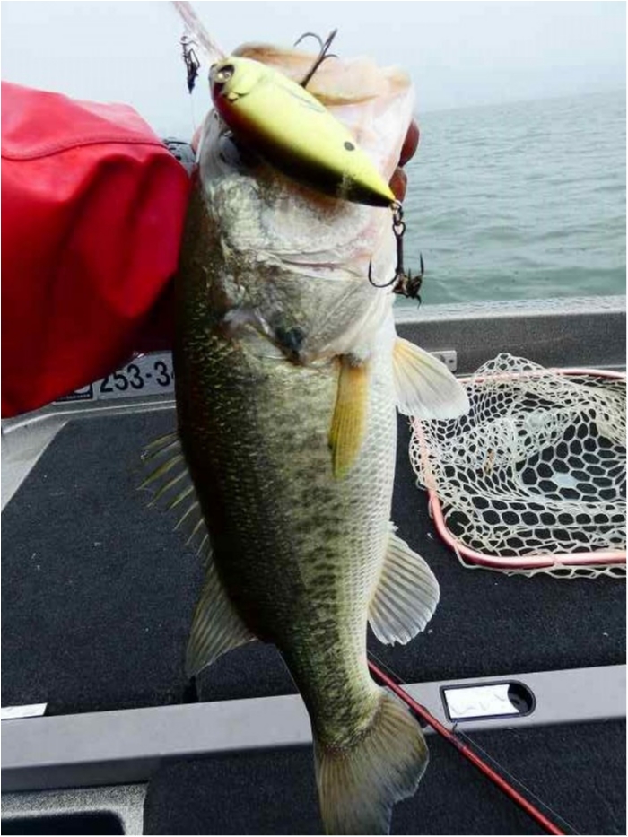 truth  ブログ写真 2018/06/23