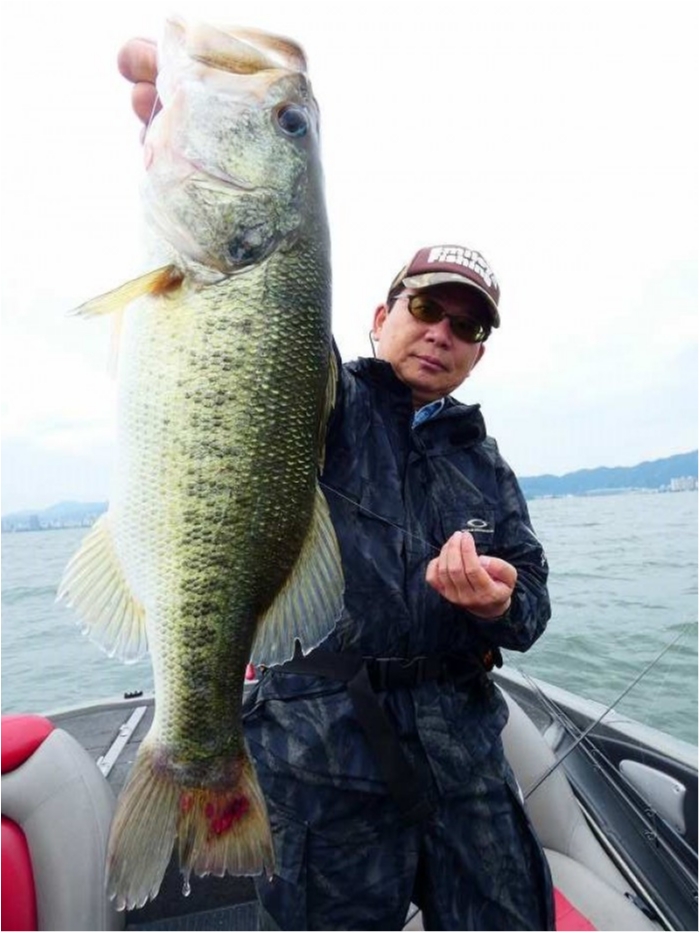 truth  ブログ写真 2018/06/23