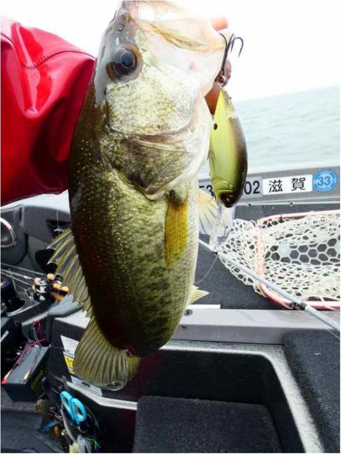 truth  ブログ写真 2018/06/23