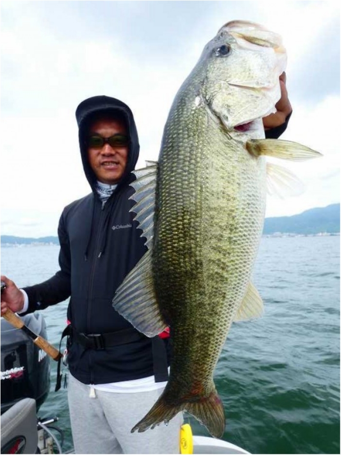 truth  ブログ写真 2018/07/03