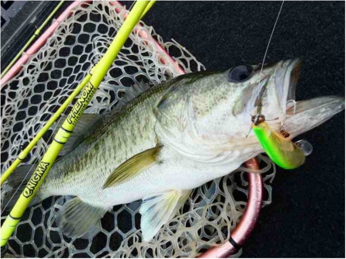 truth  ブログ写真 2018/07/04