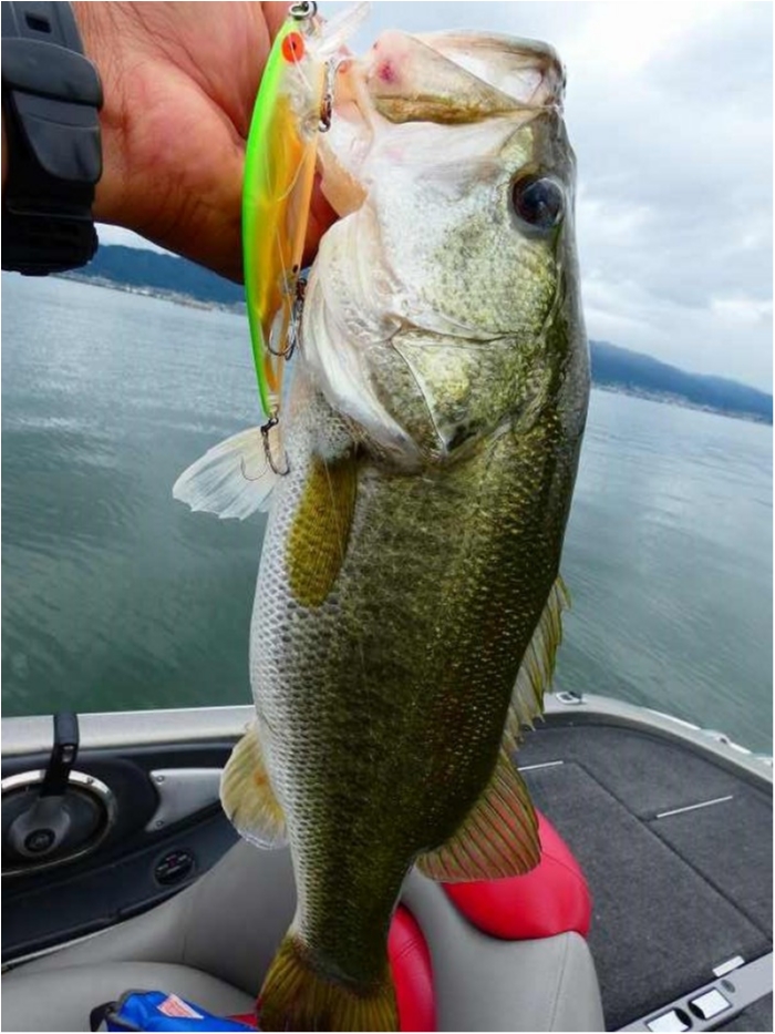 truth  ブログ写真 2018/07/04