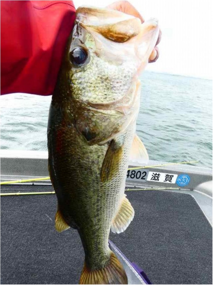 truth  ブログ写真 2018/07/04