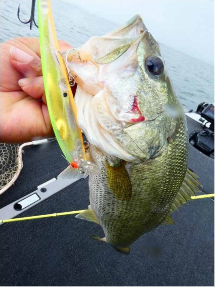 truth  ブログ写真 2018/07/04