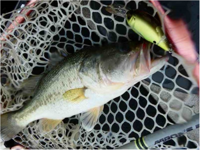 truth  ブログ写真 2018/07/06